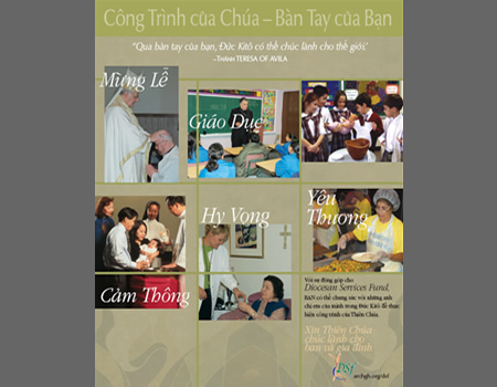 Archdiocese of Galveston-Houston Vietnamese Letter Direct Mail Campaignn from Marcia Feldman & Associates