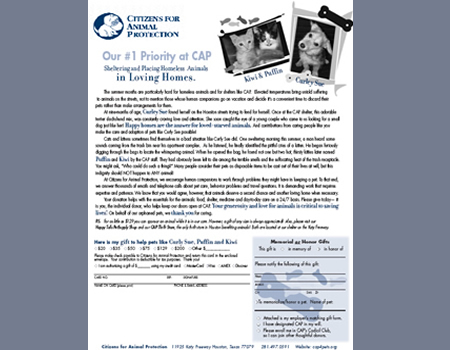 Texas Childrens Hospital Direct Mail Campaign from Marcia Feldman & Associates