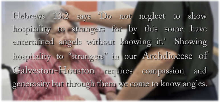 Hebrews 13:2 says 'Do not neglect to show hospitality to strangers for by this some have entertained angels without knowing it.'  Showing hospitality to 'strangers' in our Archdiocese of Galveston-Houston requires compassion and generosity but we come to know angles, to know God, through the work of these sixty DSF programs.